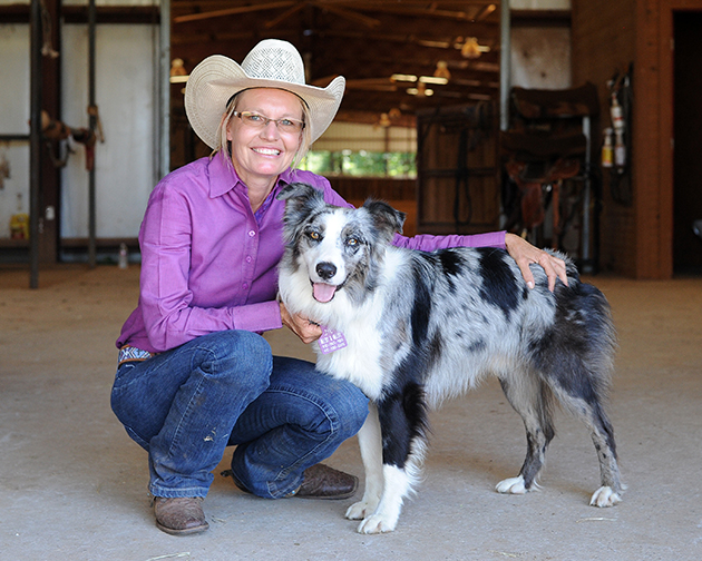 barrel horses for sale in minnesota
